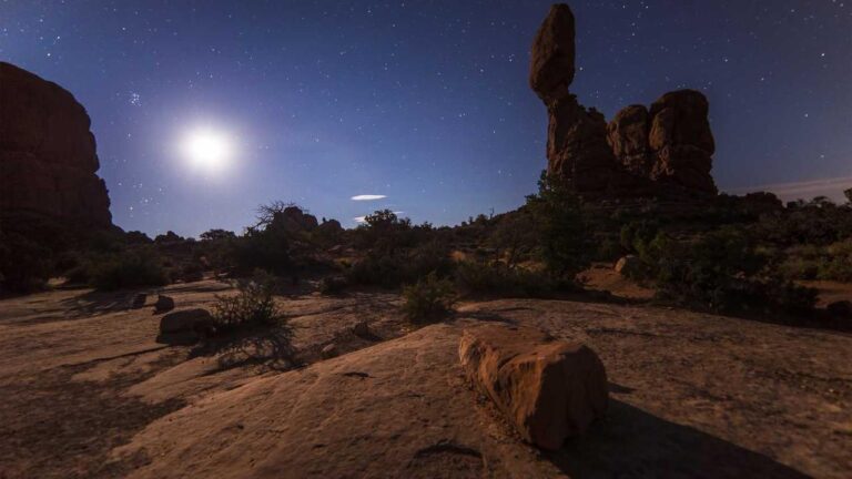 What Information Is Available On The Https Cricbet99 Club Website?